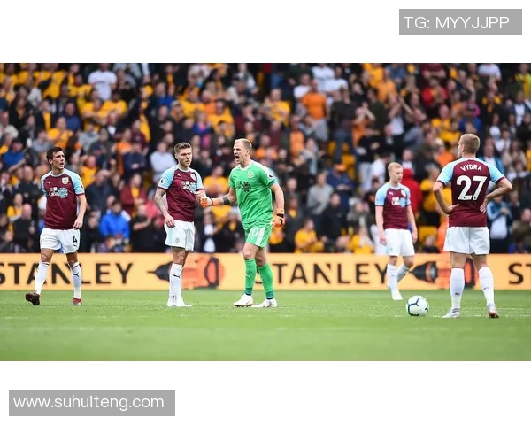 狼队与诺维奇对决前瞻分析及比赛结果预测